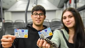 Cómo tomar la foto de la TNE 2026 de forma online para la educación superior