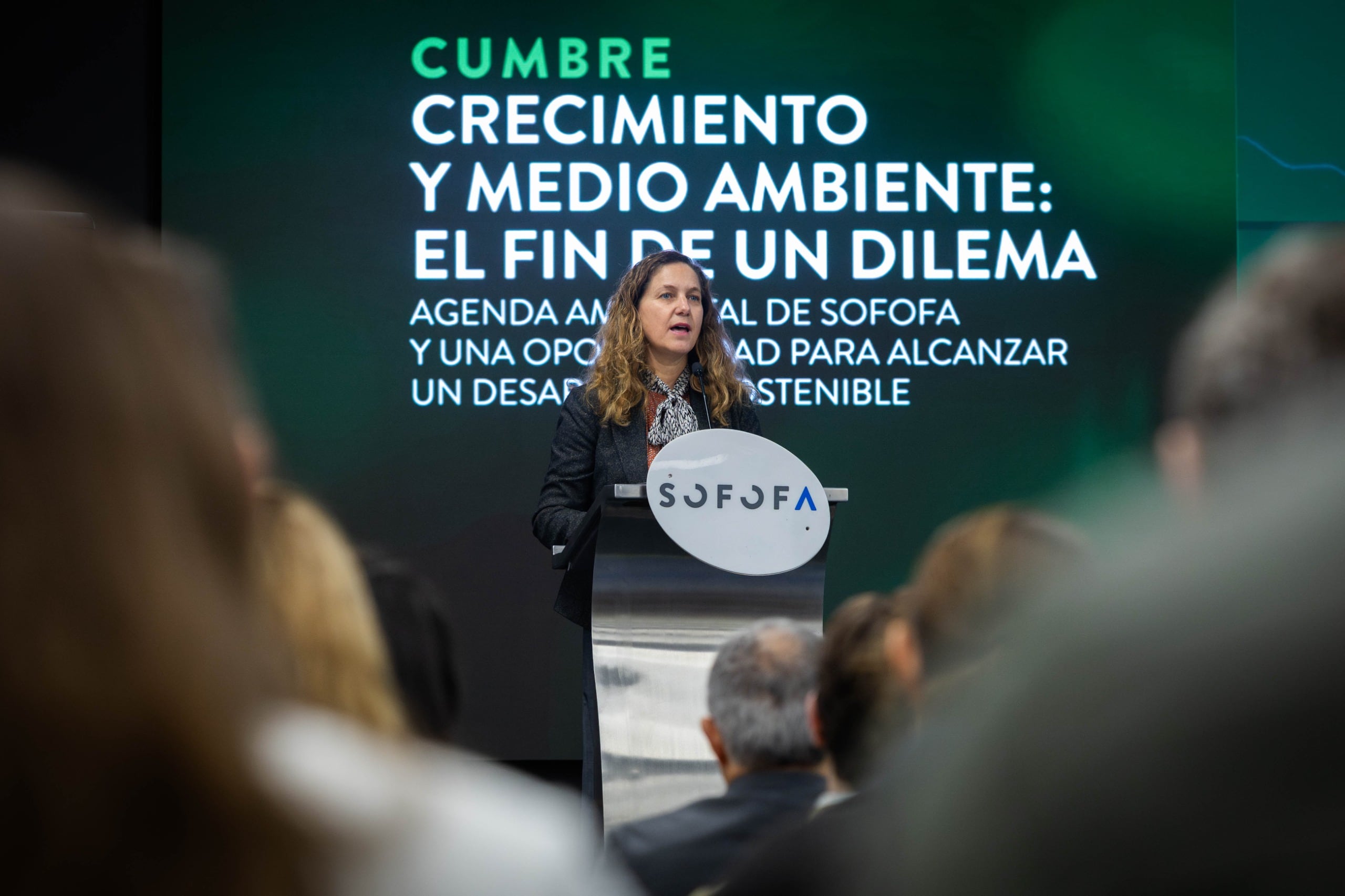Sofofa pide urgencia en medidas para crear empleos y llama a acotar las discusiones legislativas