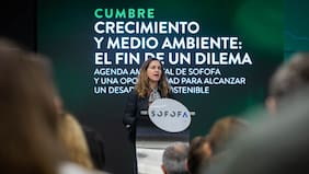 Sofofa pide urgencia en medidas para crear empleos y llama a acotar las discusiones legislativas