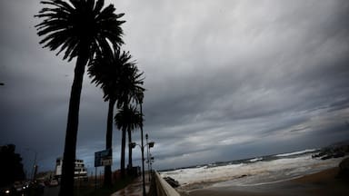 DMC pronostica vientos con rachas hasta 80 km/h para cinco regiones: podría haber viento blanco