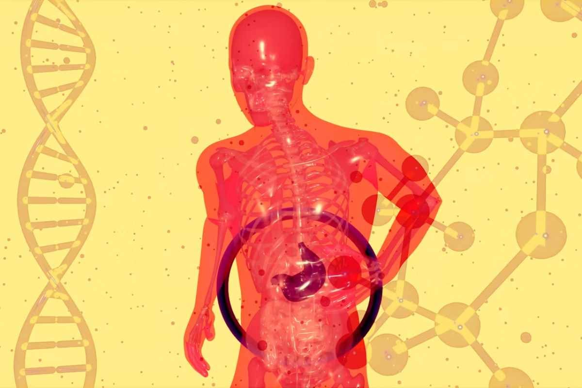 Las 5 infecciones responsables de más de 2 millones de casos de cáncer, según un estudio