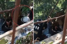 Registran brutal golpiza de guardias municipales contra hombre en situación de calle en Viña del Mar