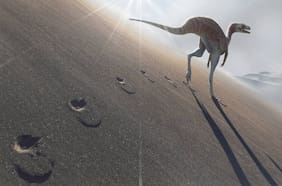 Científicos encuentran una nueva especie de dinosaurio en Sudamérica