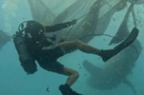 En un heroico rescate buzos logran liberar a un grupo de tiburones atrapados en redes de pesca