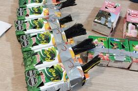 Aduanas incauta 50 aves en el Paso Los Libertadores: iban ocultas en cajas de jugo