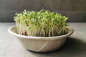 Hoy me visto de colores...