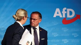 AfD alcanza el 30% de intención de voto en Alemania, con 10 puntos de ventaja sobre la CDU/CSU