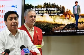Subsecretario Ramos proyecta que incendio que arrasó Lirquén “va a tardar varias semanas en apagarse”