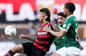 Tras ganar la Libertadores y en medio de la guerra institucional: la burla de Flamengo hacia la presidenta del Palmeiras