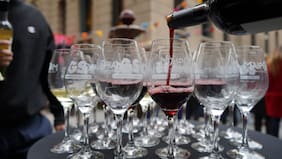 Gobierno oficializa el permiso para producir vinos de menos de 8,5°: Contraloría tomó razón del decreto