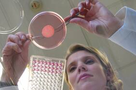 SkinTechnology: L’Oréal Groupe revoluciona la industria de la belleza con su último avance en piel reconstruida