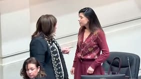 Continúa tensión en el PS: Vodanovic y Cicardini registran intenso cara a cara en la Sala del Senado