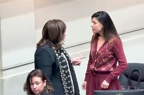 Continúa tensión en el PS: Vodanovic y Cicardini protagonizan intenso cara a cara en la Sala del Senado