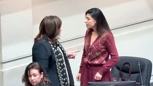 Continúa tensión en el PS: Vodanovic y Cicardini protagonizan intenso cara a cara en la Sala del Senado
