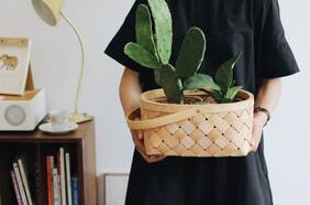 Los 20 mejores regalos para amantes de las plantas y la jardinería