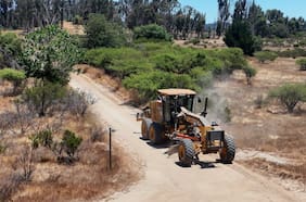 Conaf y MOP completan más de 80 km de cortafuegos en Lago Peñuelas ante riesgo de incendios forestales