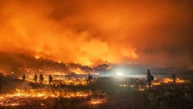Dos lesionados, una vivienda destruida y 100 hectáreas arrasadas deja incendio forestal en Zapallar