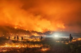 Dos lesionados, una vivienda destruida y 100 hectáreas arrasadas deja incendio forestal en Zapallar