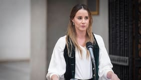 “Pedimos que si se cita a los ministros, se les deje presentar como corresponde”: Sedini por criticada exposición de Steinert en el Congreso