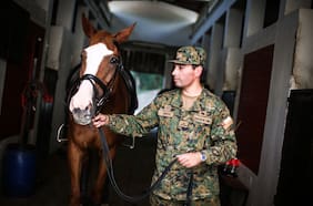 Carlos Lobos: “Todo mi esfuerzo está con el tema del Estado de Excepción”