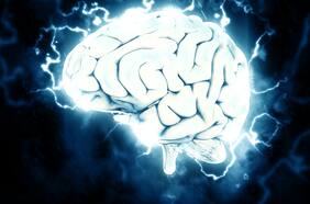 Estudio revela que obesidad puede cambiar el cerebro de forma permanente y dificultar bajar de peso