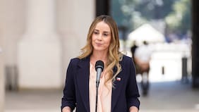 “No tiene nada que ver”: Sedini descarta que retiro de apoyo a Bachelet busque desviar foco de alza de combustibles