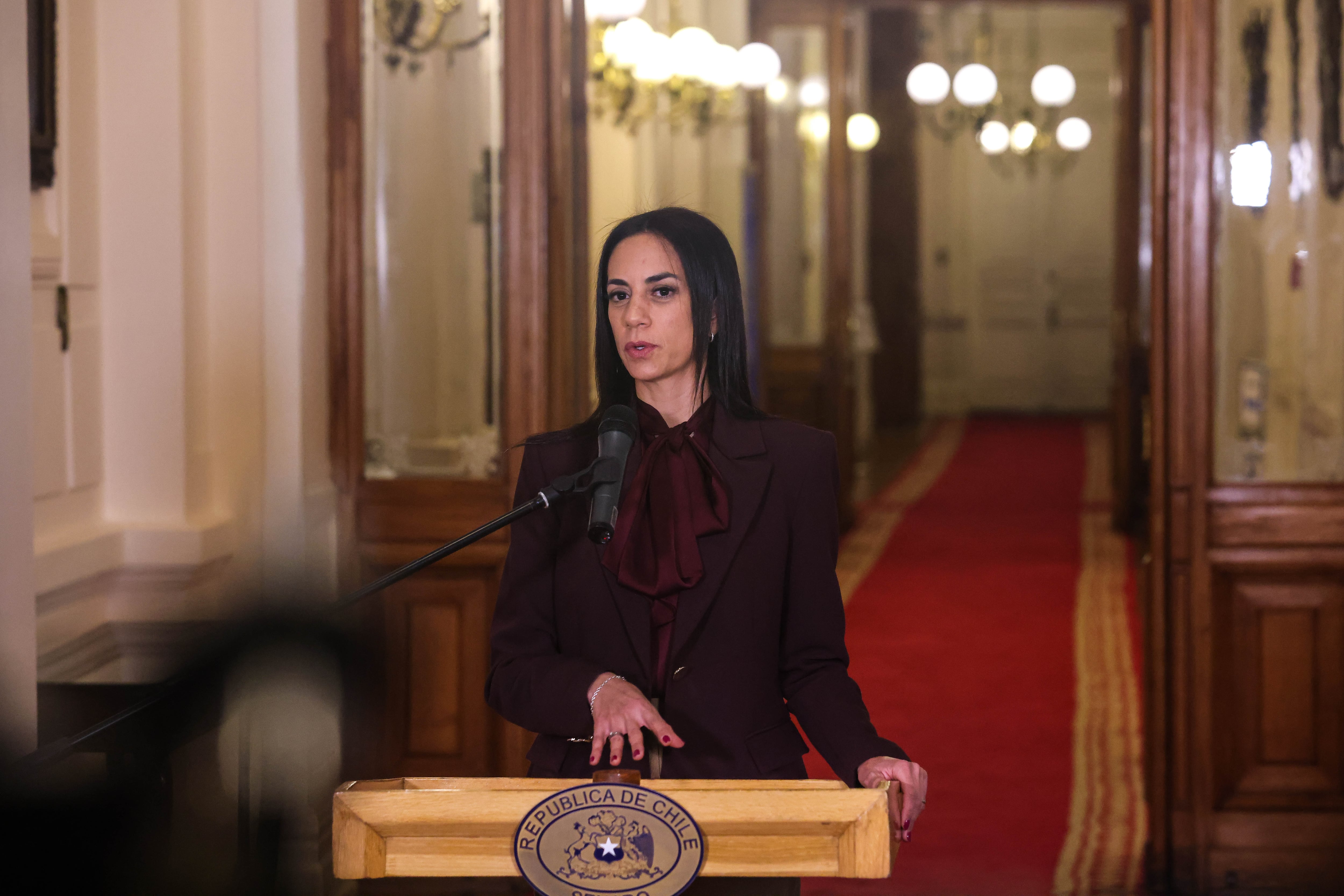 Paulina Núñez llama al Ejecutivo a insistir en el Senado en propuesta de extensión de plazo de detención de migrantes irregulares
