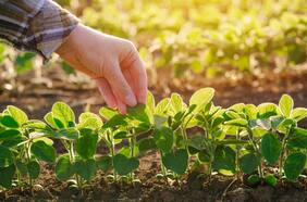 Empresas Iansa proyecta reciclar el 86% de los residuos de sus plantas de Chile y Perú al 2025