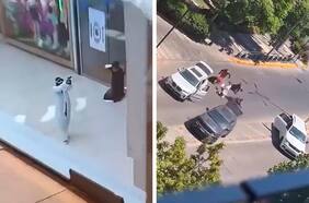 Asaltantes encapuchados, disparos, gritos y clientes escondidos: la cronología de una tarde de terror en mall Plaza Egaña