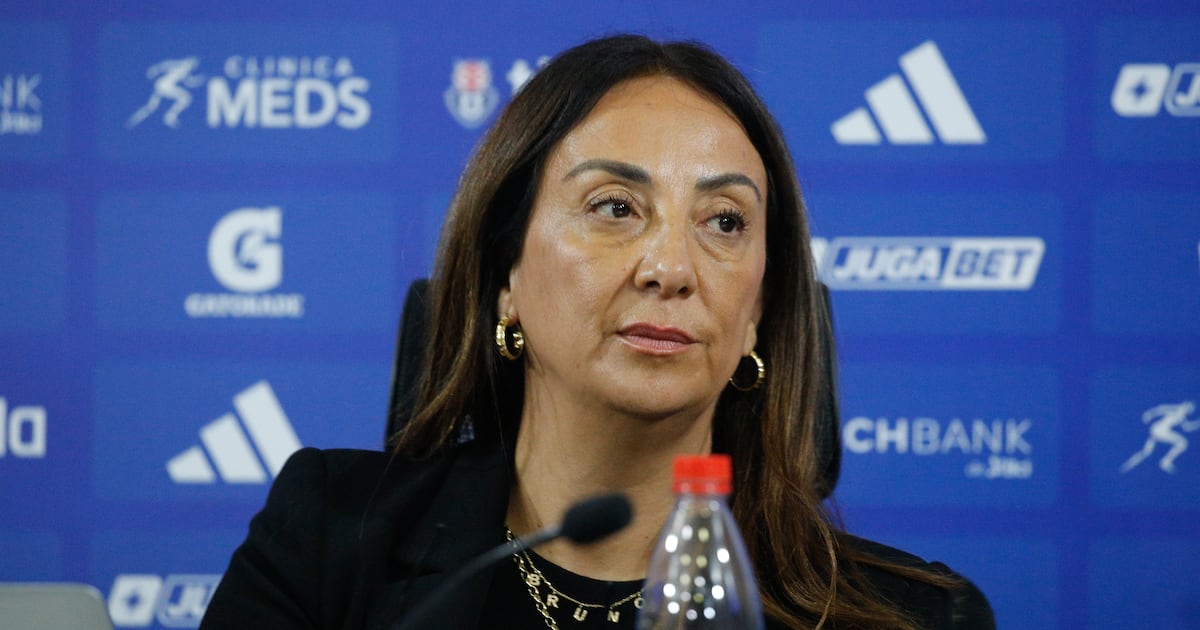 Se acabó una era: liquidador pide la revocación del directorio de Azul Azul - La Tercera