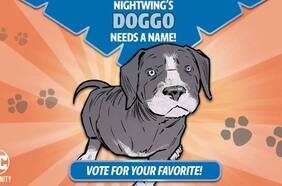 DC organizó una encuesta para ponerle nombre al nuevo perro de Nightwing