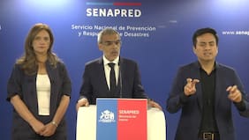 Incendios en Ñuble y Biobío: autoridades aseguran que hay focos “controlados” y que condiciones climáticas no han variado