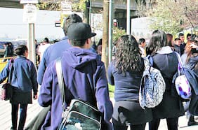 Crisis de la crianza