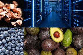 Exportaciones anotan cifra más alta desde que se tiene registro en enero de 2025