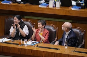 Avanza proyecto que prohíbe el porte de armas a procesados o condenados por VIF