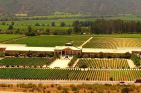 Holding español adquiere la totalidad de viñedos Veramonte y Neyen Apalta State