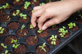 Impulsa Santiago: cómo acceder al financiamiento para pymes sustentables