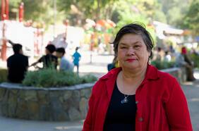 Pensiones de gracia: la nueva arremetida PC en medio de complicada agenda de seguridad de Tohá