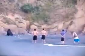 Sernapesca interpone denuncia en Fiscalía por caso de maltrato a lobo marino en Carahue