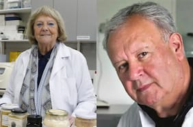 De las abejas al cáncer: la trayectoria de los nuevos premios nacionales de Ciencias