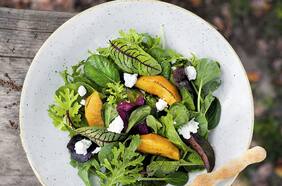 Ensalada de hojas verdes con duraznos grillados y queso feta con aderezo de mostaza