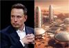 El polémico plan de Elon Musk para colonizar Marte: se ofreció a “sembrar” y crear su propia especie