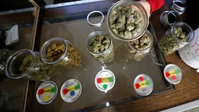 Trump reclasifica la marihuana medicinal con licencia estatal como una droga menos peligrosa en un cambio histórico