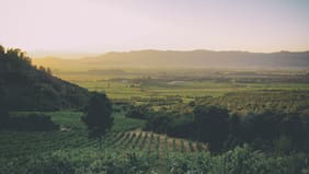 Emiliana es reconocida en los Greens Awards, esta vez por “Iniciativa Orgánica del Año”