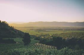 Emiliana es reconocida en los Greens Awards, esta vez por “Iniciativa Orgánica del Año”