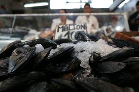 Crean aplicación que te indica de dónde proviene el pescado y los mariscos que te vas a comer