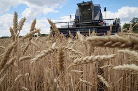 La guerra en Irán y el fantasma de la crisis alimentaria en el mundo