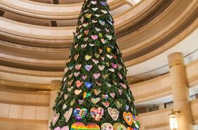 Árbol de los Sueños enciende sus luces