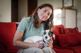 Mascotas: de plagas a hijos