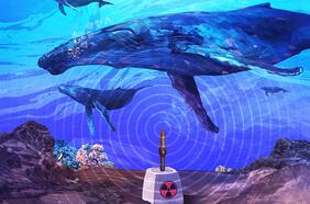 El sistema de alerta nuclear que descubrió el refugio secreto de las ballenas